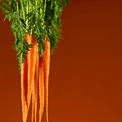 Regional Hospital<br/>Calendar on Healthy Eating